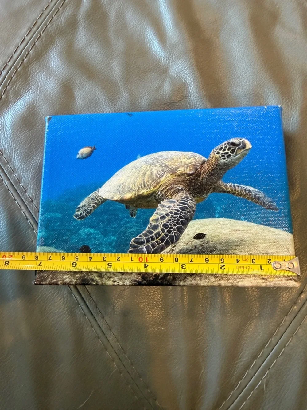 🟣 3/$30 - 7” x 5” Sea Turtle Ocean Canvas Wall Art - Picture 3 of 10